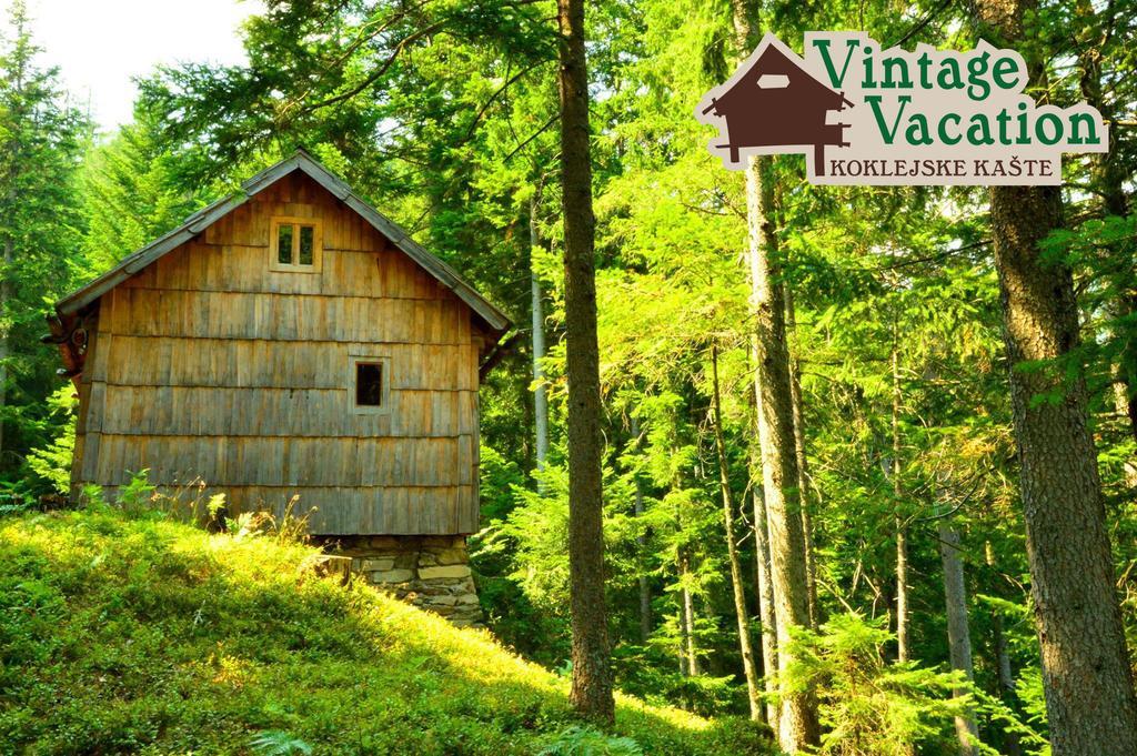 Domacija Koklej - Apartments Vintage Vacation Luče Екстериор снимка