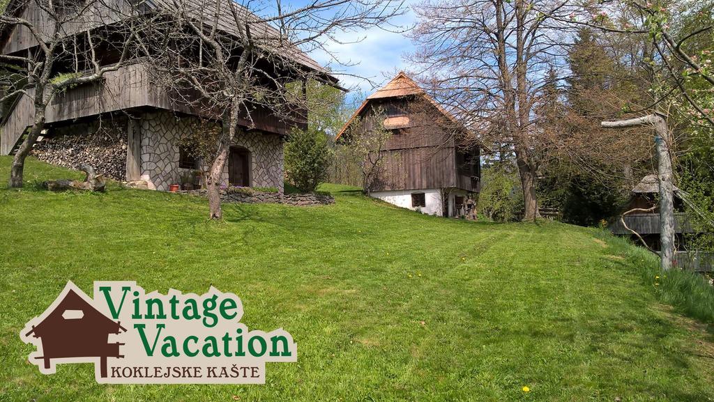 Domacija Koklej - Apartments Vintage Vacation Luče Екстериор снимка