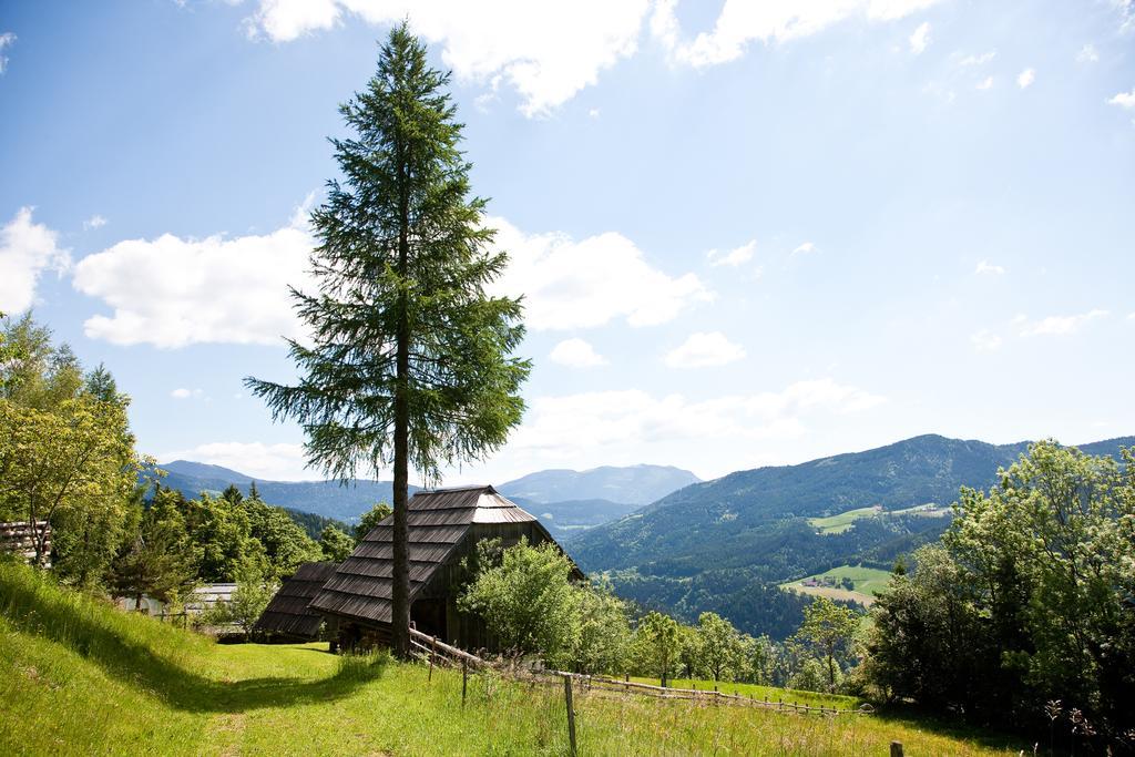 Domacija Koklej - Apartments Vintage Vacation Luče Екстериор снимка