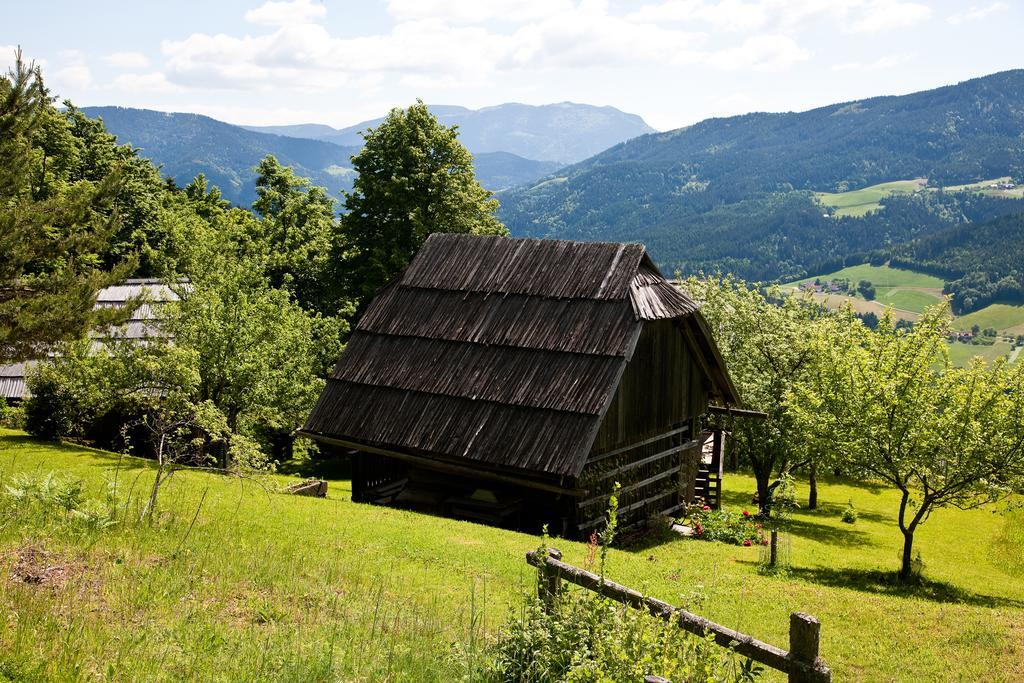 Domacija Koklej - Apartments Vintage Vacation Luče Екстериор снимка