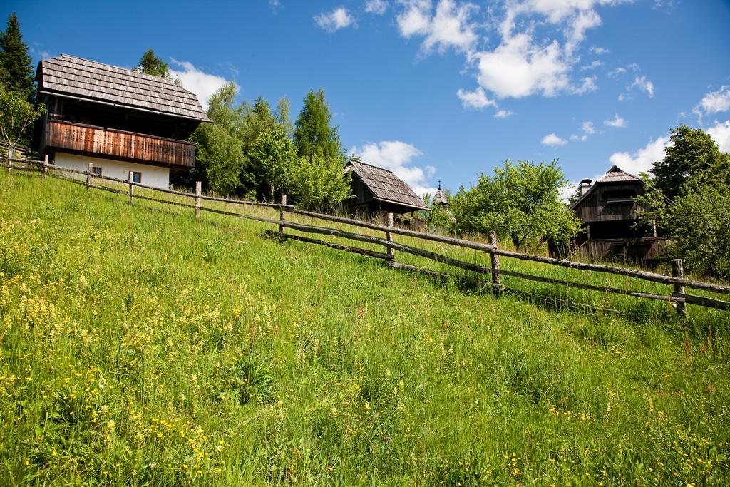 Domacija Koklej - Apartments Vintage Vacation Luče Екстериор снимка