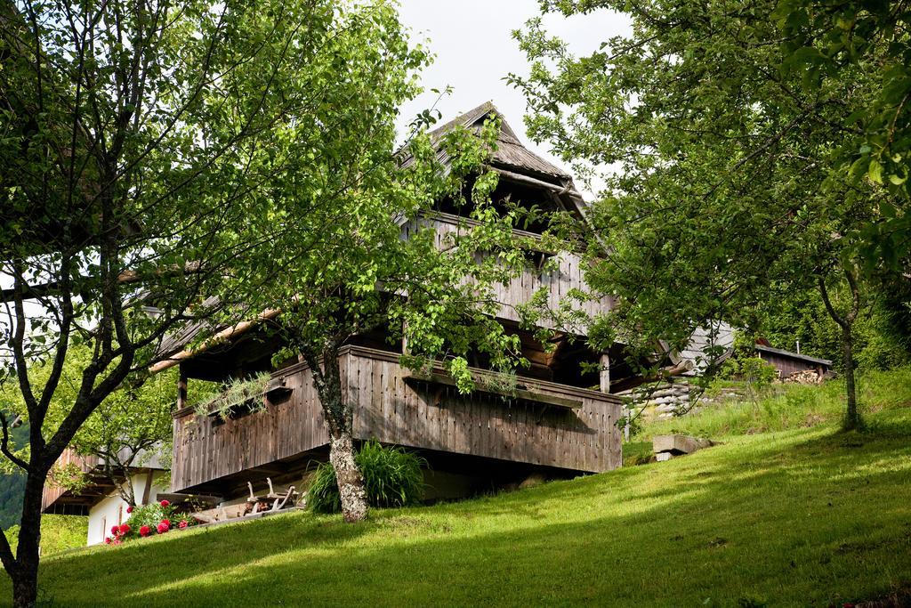Domacija Koklej - Apartments Vintage Vacation Luče Екстериор снимка